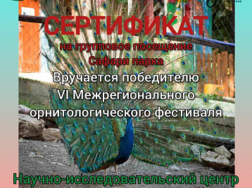 Межрегиональный орнитологический фестиваль в Новороссийске