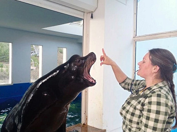 Для чего нужен тренинг животных в зоопарках?