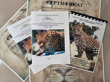 Сафари Парк собрал специалистов за круглым столом по актуальным вопросам ветеринарии и зоотехнии