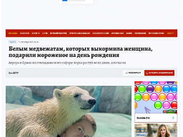 Белым медвежатам, которых выкормила женщина, подарили мороженое на день рождения - Комсомольская Правда